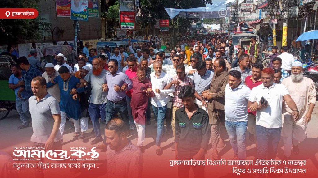 ব্রাহ্মণবাড়িয়ায় বিএনপি আয়োজনে ঐতিহাসিক ৭ নভেম্বর বিপ্লব ও সংহতি দিবস উদযাপন