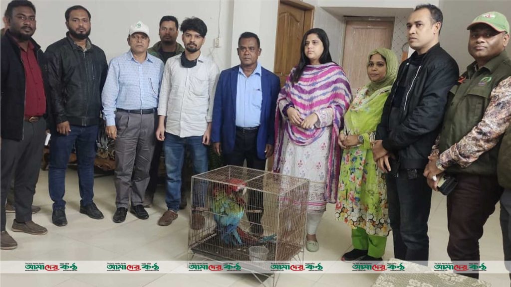 শ্রীপুরে সাফারি পার্ক থেকে দুটি ম্যাকাও পাখি চুরি, একটি পাখি উদ্ধার ও চোর গ্রেফতার
