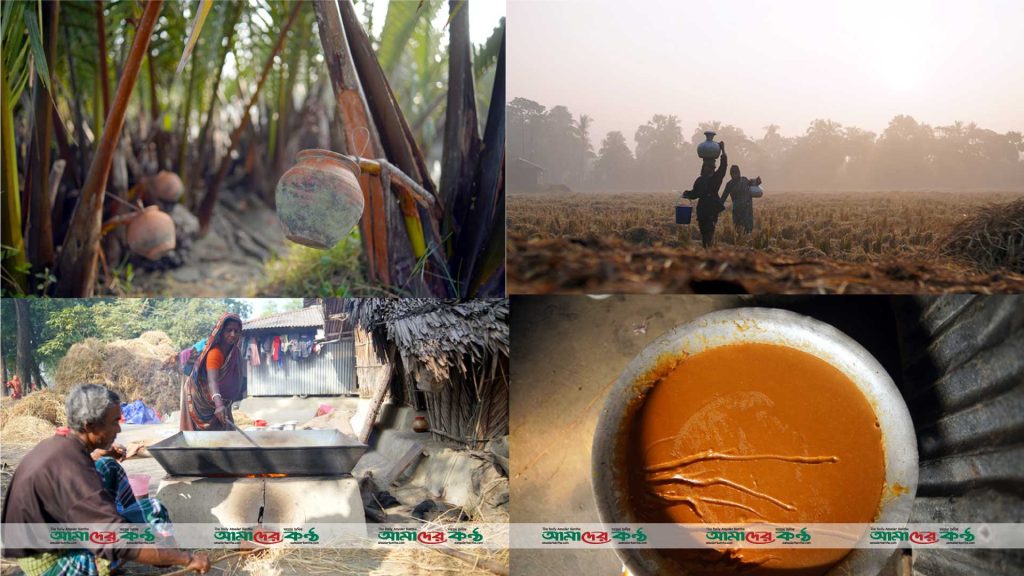 কলাপাড়ায় বাণিজ্যিকভাবে গোল গাছের আবাদ করছেন কৃষকরা