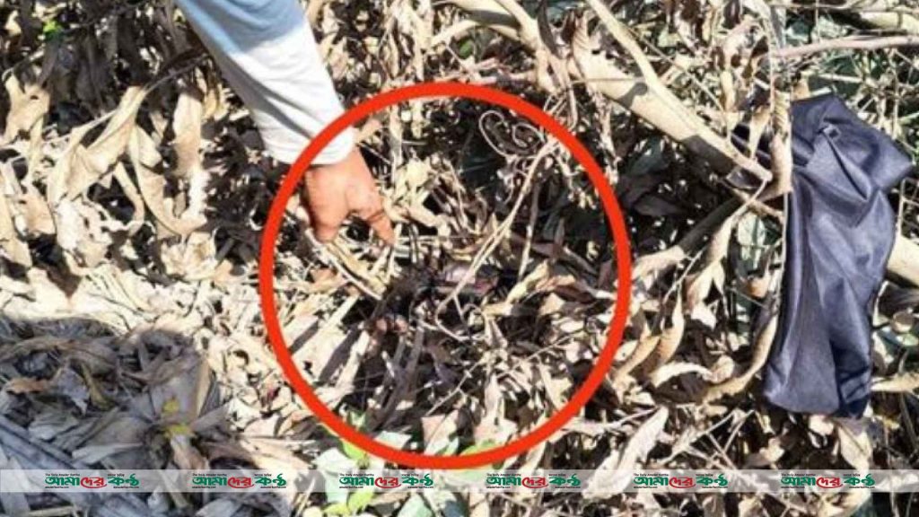 বরিশালের রাস্তার পাশ থেকে পরিত্যক্ত দেশীয় রিভলভার উদ্ধার