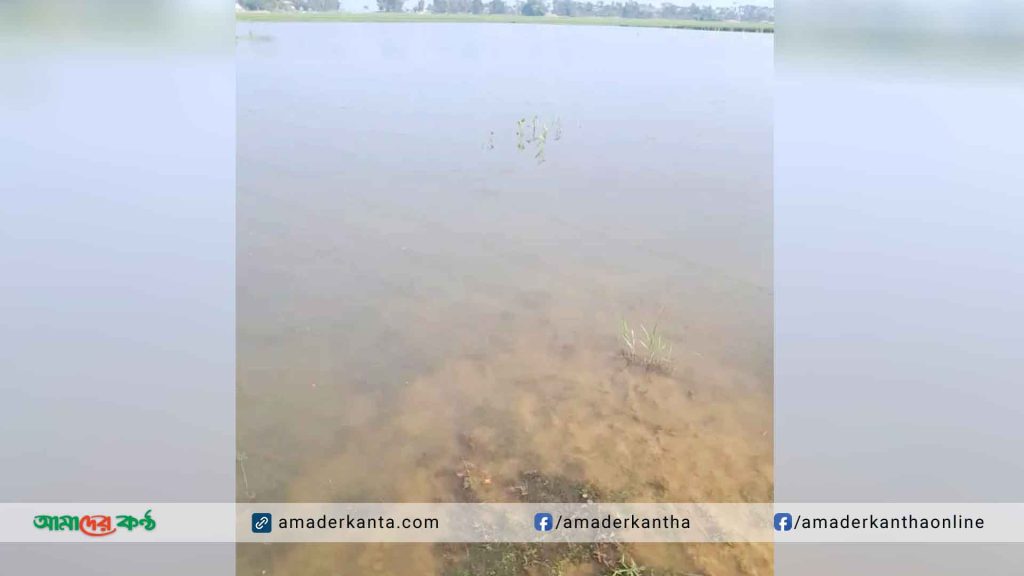 রাজনগরে হারিউন বিল জলমহালের ইজারা পেলেন আশার আলো মৎস্যজীবী সমবায় সমিতি