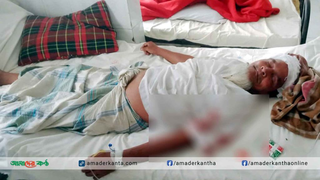 ভাণ্ডারিয়ায় কৃষককে কুপিয়ে জখম