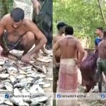 কলাপাড়ায় পুকুরে বিষ প্রয়োগে মাছ নিধন,দেড় লক্ষাধিক টাকা ক্ষতি