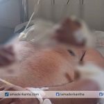 রাজশাহীতে বিএনপি নেতার হাসুয়ার কোপে যুবক আইসিইউতে মৃত্যুশয্যায়