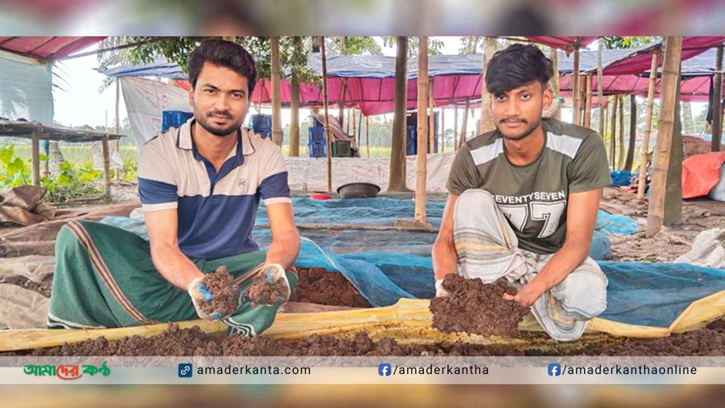 রংপুরে কেঁচো সার উৎপাদন করে স্বাবলম্বী সোহেল রানা
