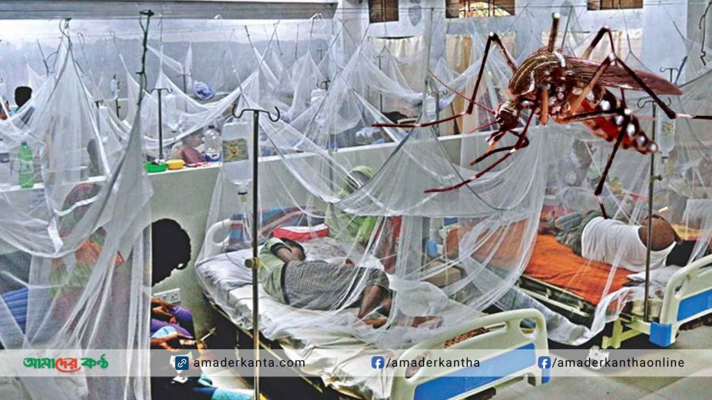 ডেঙ্গুতে আক্রান্ত হয়ে একজনের মৃত্যু, আক্রান্ত ১৬৯