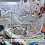 ডেঙ্গুতে আক্রান্ত হয়ে একজনের মৃত্যু, আক্রান্ত ১৬৯