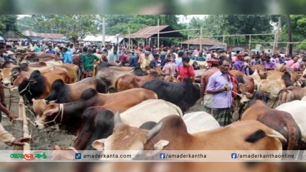 বরিশাল বিভাগের ৩২৮টি স্থানে বসছে কোরবানির পশুর হাট