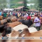 বরিশাল বিভাগের ৩২৮টি স্থানে বসছে কোরবানির পশুর হাট