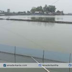পাইকগাছায় খাস খালে বাঁধ-নেট দিয়ে মাছ চাষ, বর্ষা'র শুরুতে জলাবদ্ধতা 