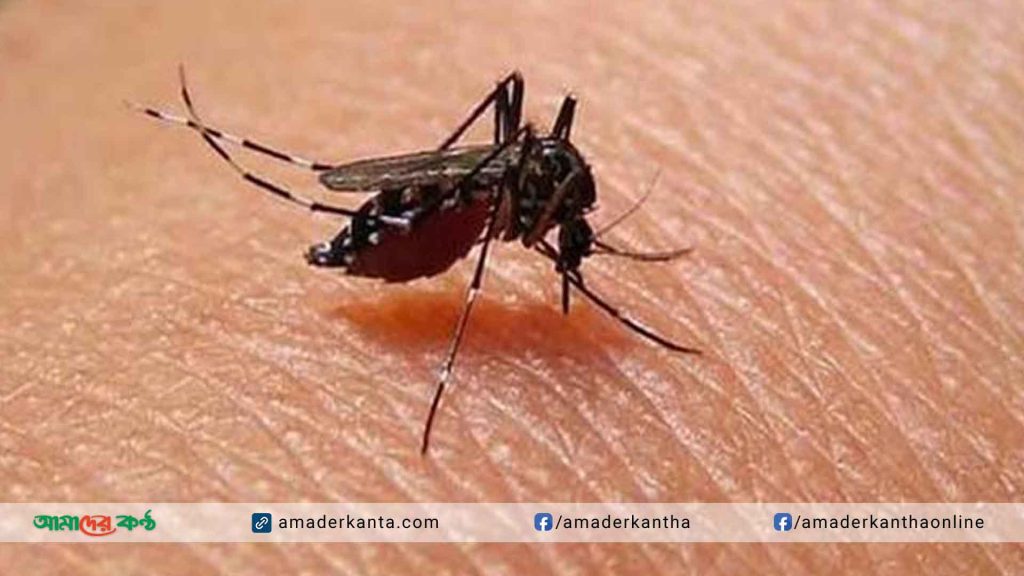 ২৪ ঘণ্টায় বরগুনায় ডেঙ্গুতে আক্রান্ত ৮৩ জন